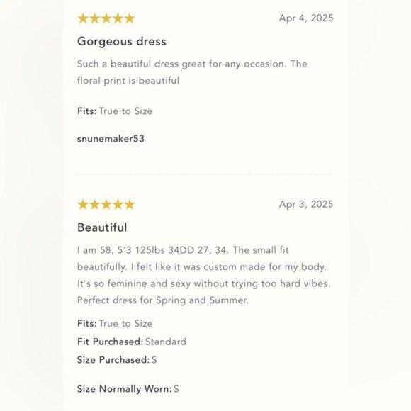 NWT Size XLP -Anthropologie Sleeveless V-Neck Lace Slip Midi Dress (NWT US$ 178) - Picture 8 of 17